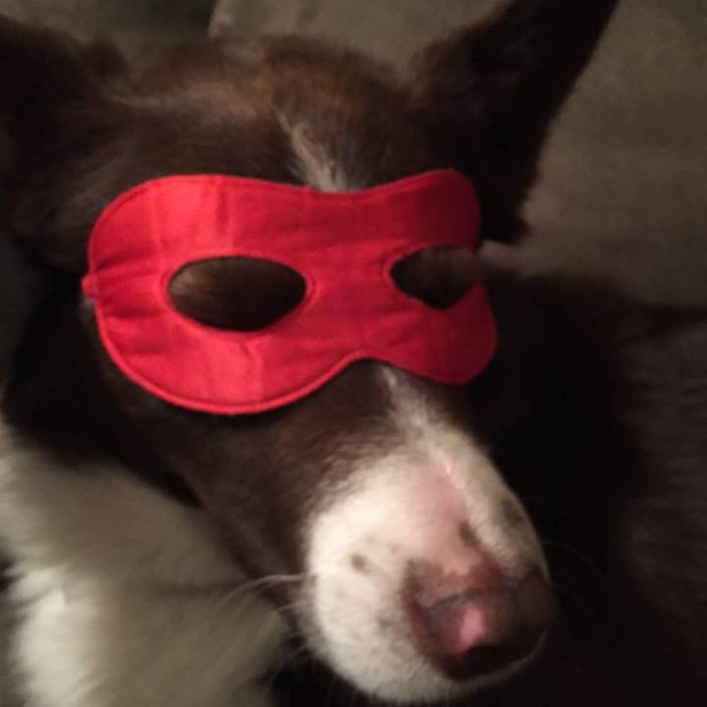 Meet your Posher, Nina